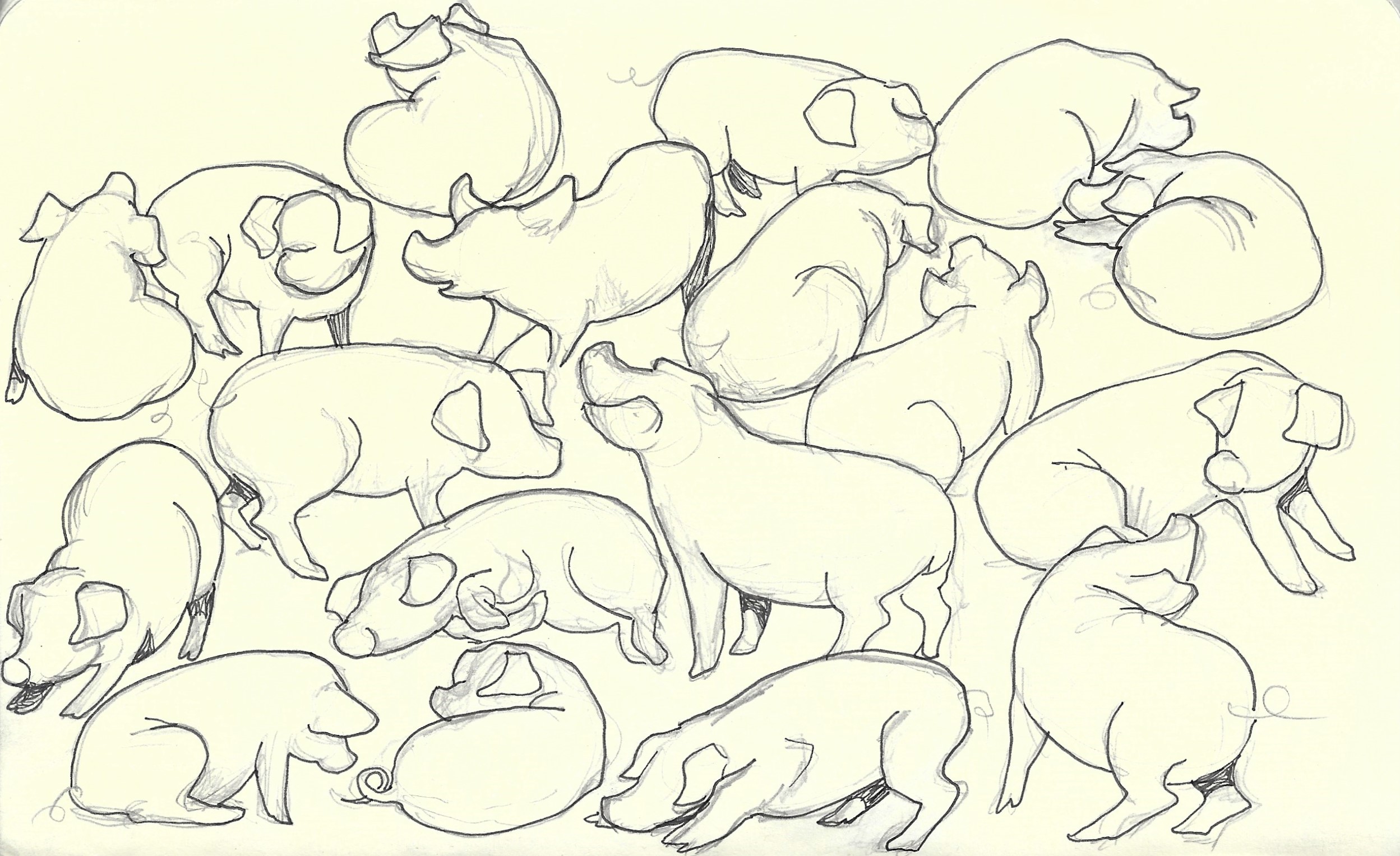 Eighteen pigs - Arton grisar